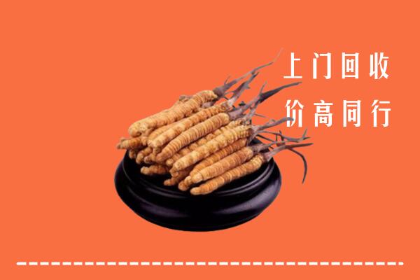 高价求购：上街区回收散虫草