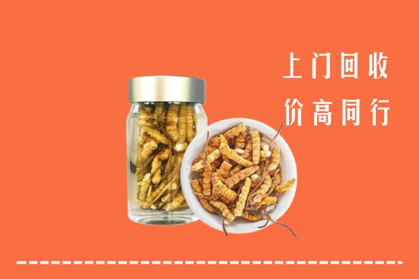 收购行情：上街区回收冬虫夏草