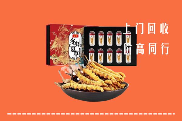 上街区回收虫草